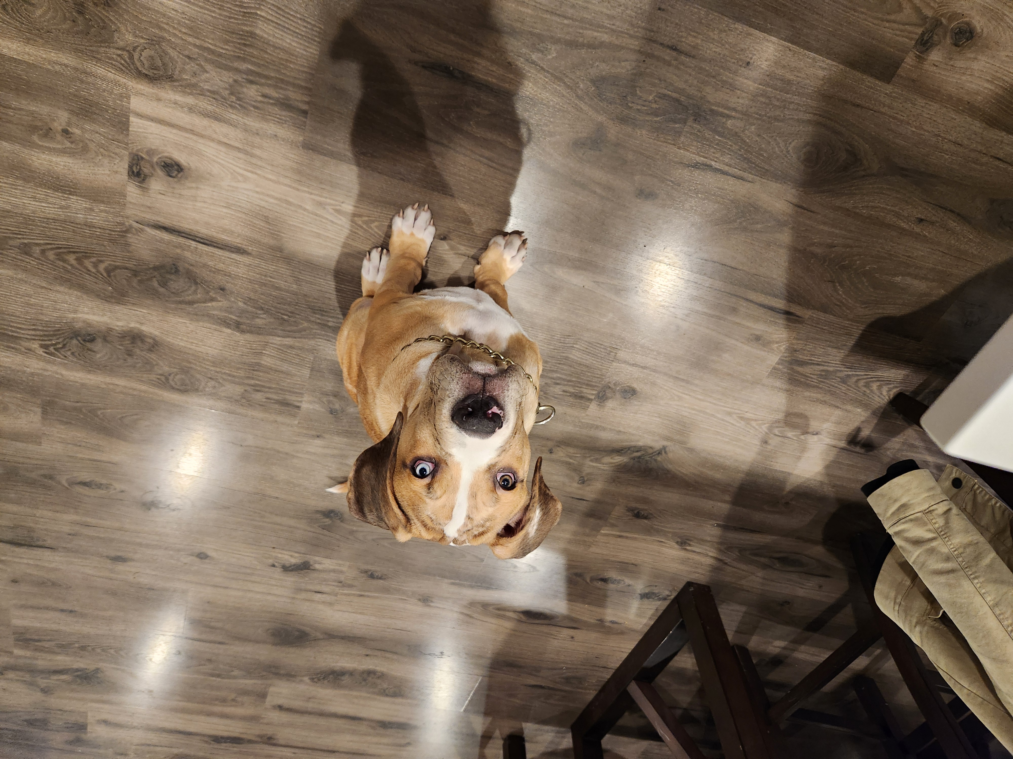 Maverick photo 2